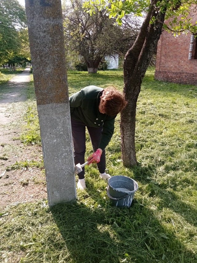 IMG 20220429 083629