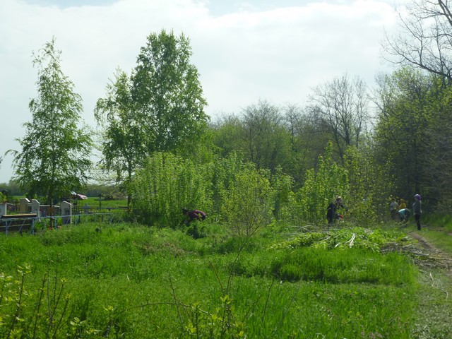 P1130351